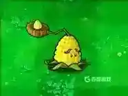都有哪些植物？_植物大战僵尸教程分享_神奇下载