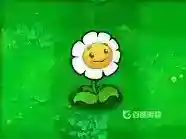 都有哪些植物？_植物大战僵尸教程分享_神奇下载