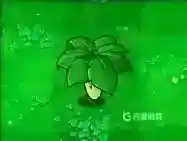 都有哪些植物？_植物大战僵尸教程分享_神奇下载