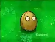 都有哪些植物？_植物大战僵尸教程分享_神奇下载