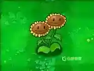 都有哪些植物？_植物大战僵尸教程分享_神奇下载