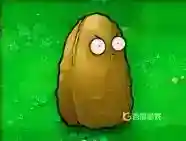 都有哪些植物？_植物大战僵尸教程分享_神奇下载