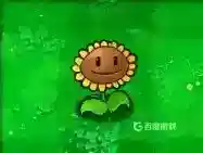 都有哪些植物？_植物大战僵尸教程分享_神奇下载