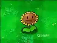 都有哪些植物？_植物大战僵尸教程分享_神奇下载