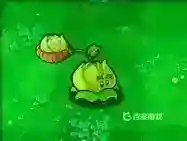 都有哪些植物？_植物大战僵尸教程分享_神奇下载