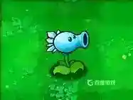 都有哪些植物？_植物大战僵尸教程分享_神奇下载
