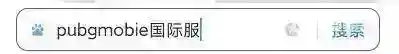 pubg国际服手游怎么下载？_和平精英教程攻略_神奇下载