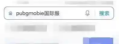 pubg国际服手游怎么下载？_和平精英教程攻略_神奇下载
