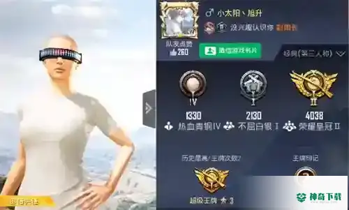 和平精英怎么打巅峰赛？_和平精英攻略玩法_神奇下载