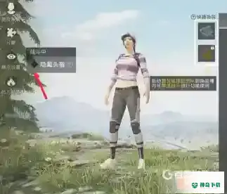 和平精英不显示头盔在哪里设置？_和平精英教程攻略_神奇下载