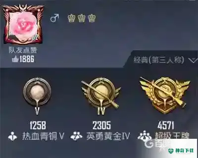 和平精英能用的特殊字符有哪些？_和平精英攻略分享_神奇下载