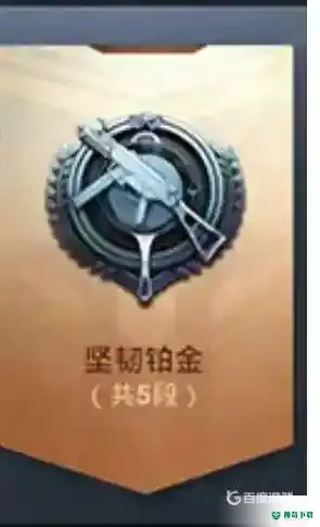 和平精英有几个段位？_和平精英教程分享_神奇下载