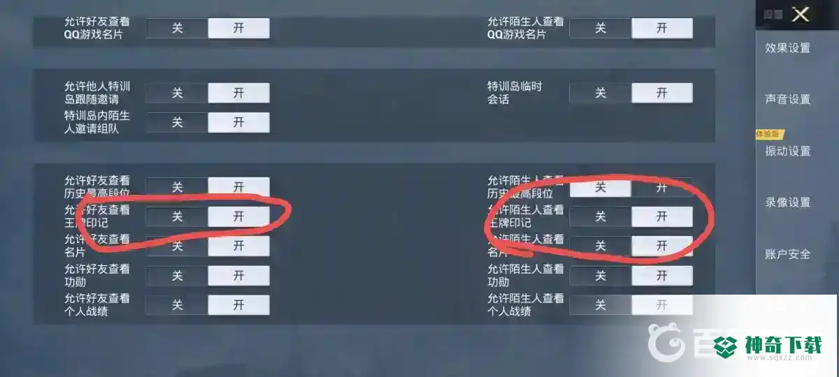 和平精英出生岛怎么隐藏王牌印记？_和平精英攻略教程_神奇下载
