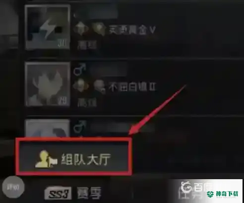 和平精英组队大厅功能组队怎么完成？_和平精英攻略玩法_神奇下载