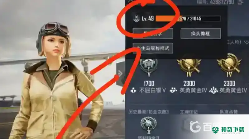 和平精英等级怎么看？_和平精英玩法分享_神奇下载