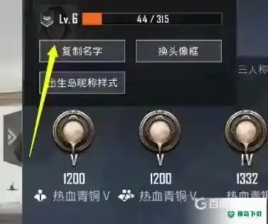 和平精英等级怎么看？_和平精英玩法分享_神奇下载