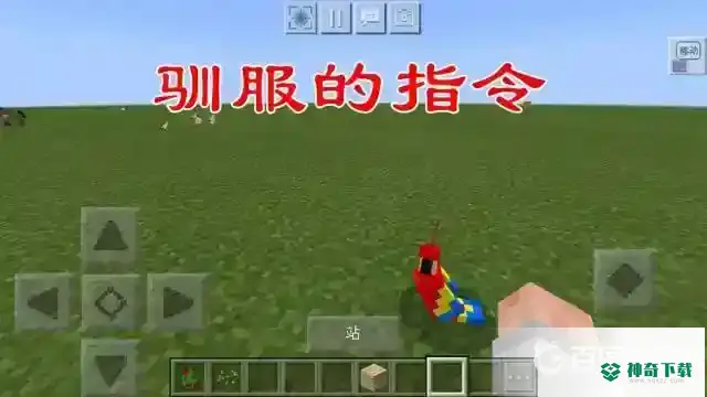 鹦鹉怎么驯服？_我的世界手游玩法分享_神奇下载