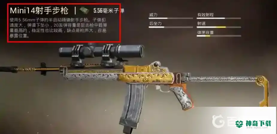和平精英射手步枪哪个最好用？_和平精英教程_神奇下载