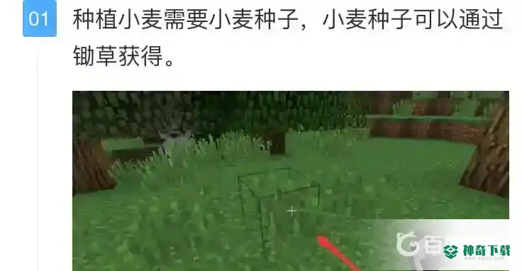 怎么种小麦？_我的世界手游教程_神奇下载