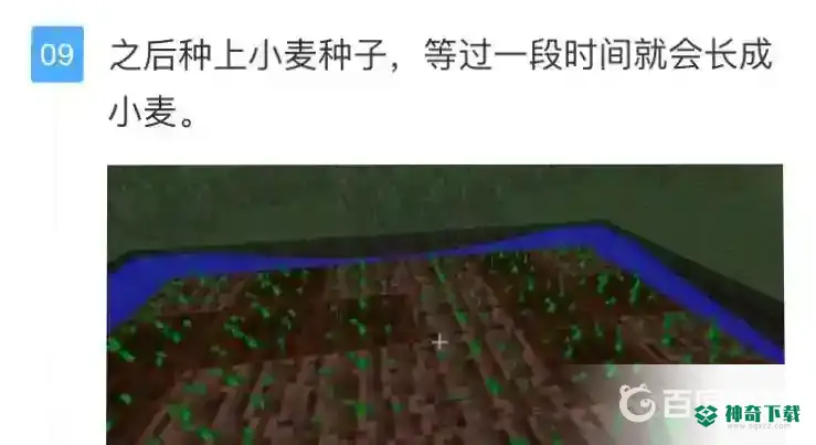 怎么种小麦？_我的世界手游教程_神奇下载