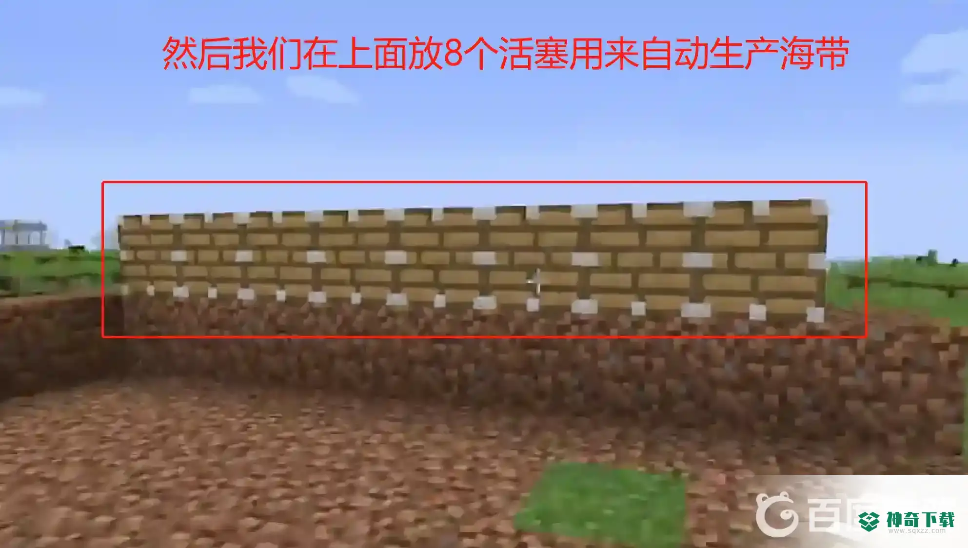 我的世界海带怎么种植？_我的世界手游教程攻略_神奇下载