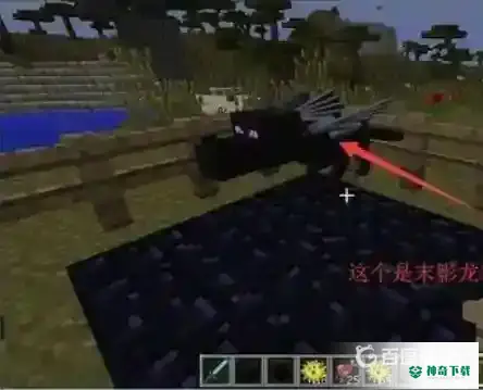 我的世界手机版龙蛋怎么孵化？_我的世界手游教程攻略_神奇下载