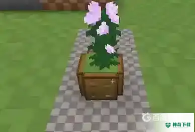 花盆怎么种花？_我的世界手游教程攻略_神奇下载
