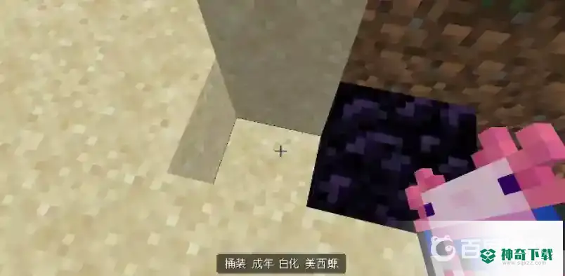 我的世界手机怎么用水桶装美西螈？_我的世界手游攻略_神奇下载