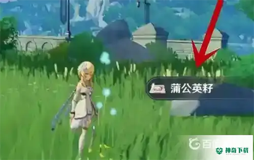 原神蒲公英籽怎么采集？_原神教程攻略_神奇下载