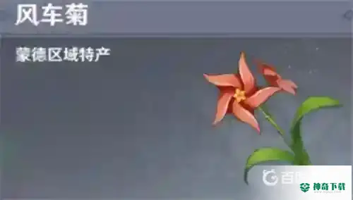 原神风车菊在哪里？_原神攻略分享_神奇下载