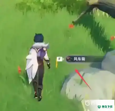 原神风车菊在哪里？_原神攻略分享_神奇下载