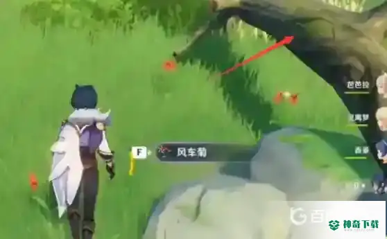 原神风车菊在哪里？_原神攻略分享_神奇下载