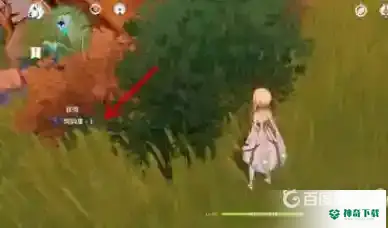 原神钩钩果在哪里买？_原神攻略_神奇下载