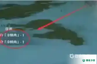 原神冷鲜肉怎么获得？_原神教程分享_神奇下载
