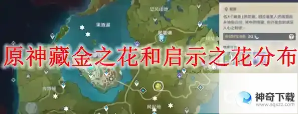 原神藏金之花和启示之花分布在哪里？_原神教程玩法_神奇下载