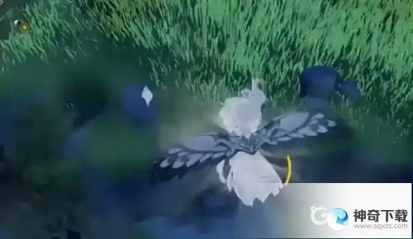 原神海螺的全部位置在哪里？_原神教程攻略_神奇下载