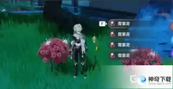 原神霓裳花在哪里采集？_原神教程攻略_神奇下载