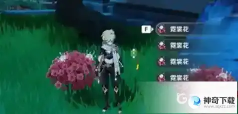 原神霓裳花在哪里采集？_原神教程攻略_神奇下载