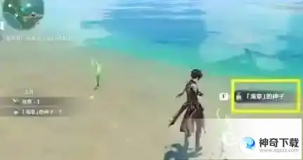 原神化种匣怎么用？_原神教程玩法_神奇下载