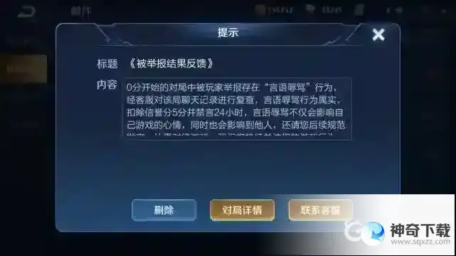 王者为什么会被禁言？_王者荣耀攻略分享_神奇下载