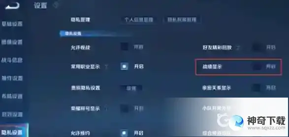 王者荣耀怎么隐藏战绩？_王者荣耀攻略分享_神奇下载