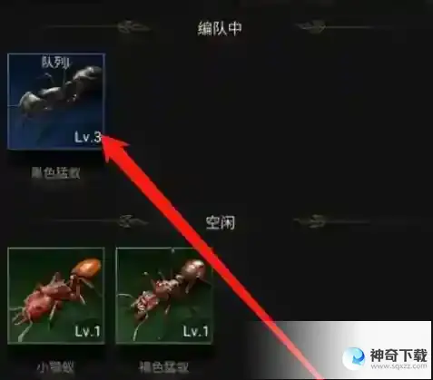 小小蚁国特化蚁怎么升级_小小蚁国正版官服教程攻略_神奇下载站