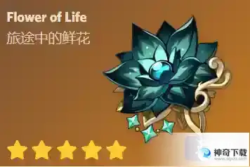 《原神》水仙之梦效果是什么_原神攻略_神奇下载站