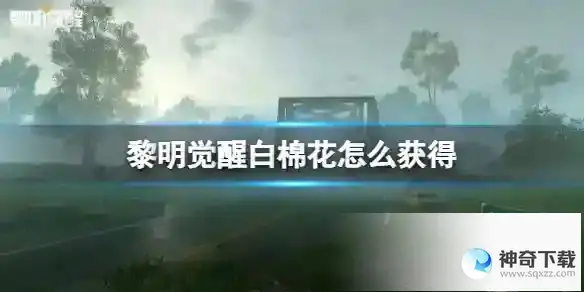 《黎明觉醒》白棉花怎么获得