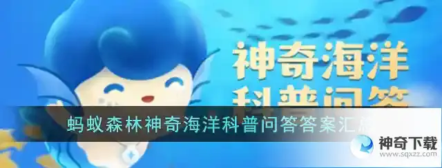 鲸鱼是胎生还是卵生神奇海洋今日答案4.3最新