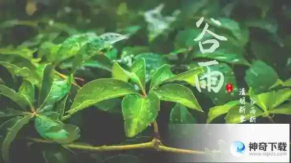 2023谷雨是几月几日几点