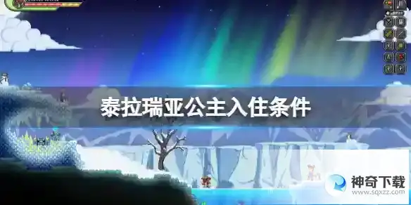 《泰拉瑞亚》公主入住条件
