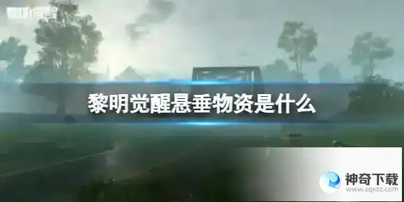 《黎明觉醒》悬垂物资是什么