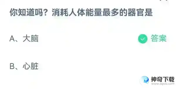 你知道吗消耗人体能量最多的器官是支付宝蚂蚁庄园4月19日答案