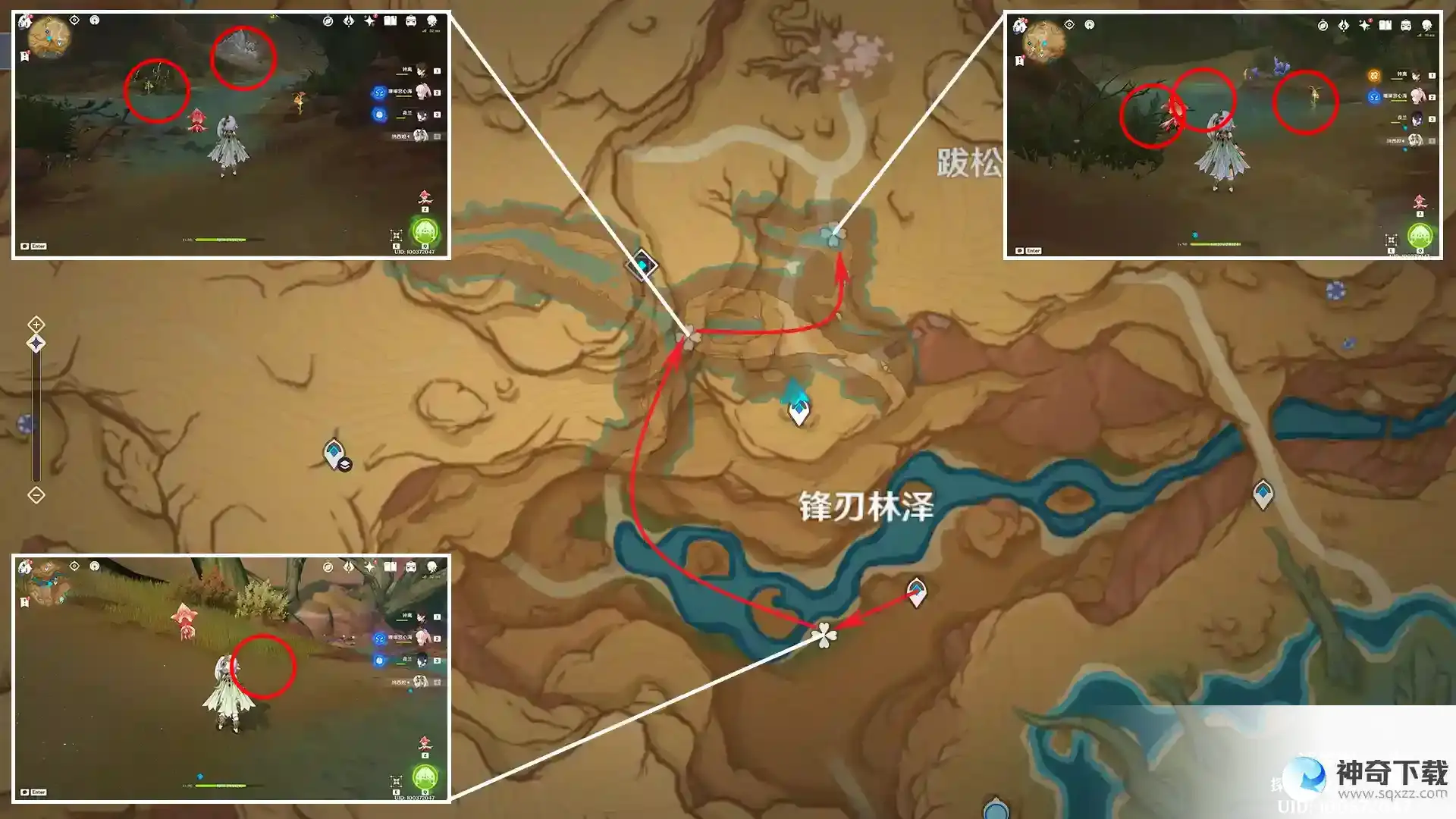 原神卡维突破材料悼灵花收集路线